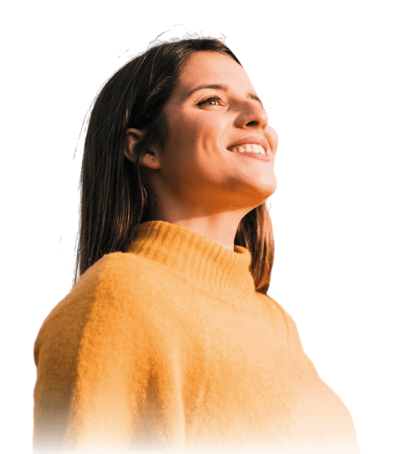 Alianza Minas - Inversiones